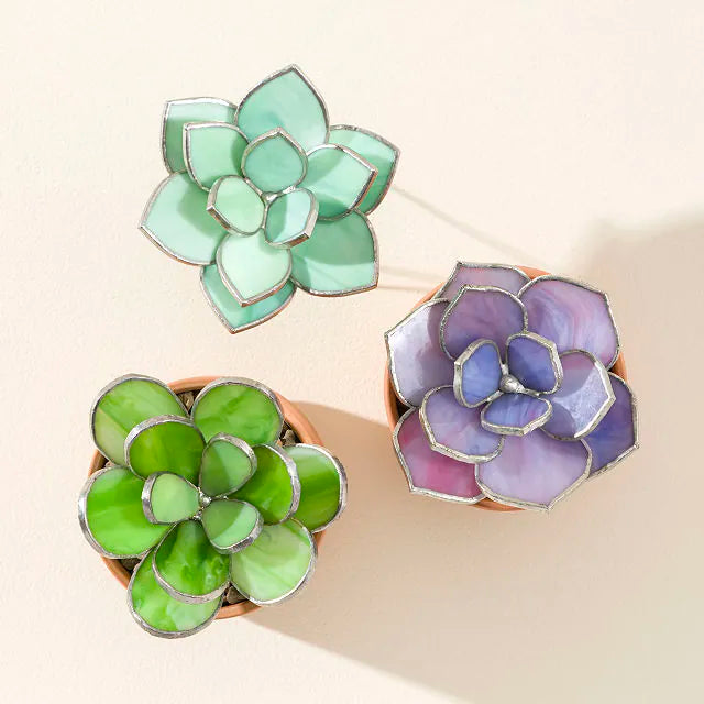 Everlasting Stained Glass Succulents