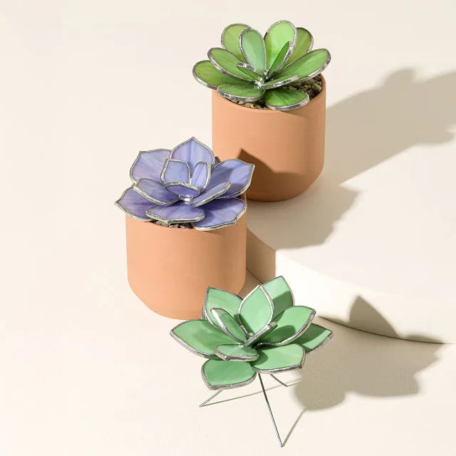 Everlasting Stained Glass Succulents